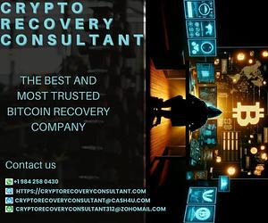 CRYPTO RECOVERY CONSULTANT 