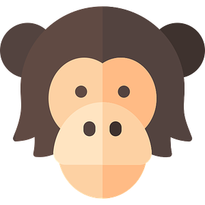 Learnchimp