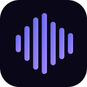 Seed Audio 1.0