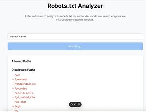 Robots.txt Analyzer