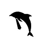 CareerDolphin