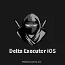 Delta Executor Resource Center