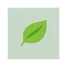 GreenMessage: Send messages via BNB.