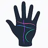 Palm Reader