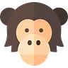 Learnchimp