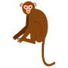 PageMonkey