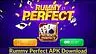 Rummy Perfect