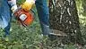 Rotherham Tree Services