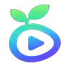 Seedance 2.0 AI Video