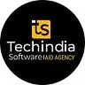 TechIndia Software