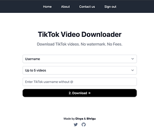 Tiktok Downloader