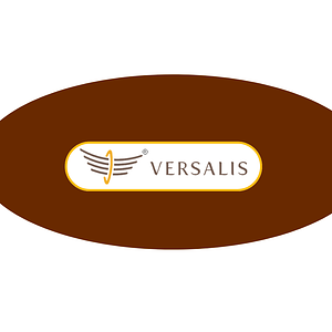 versalis international 